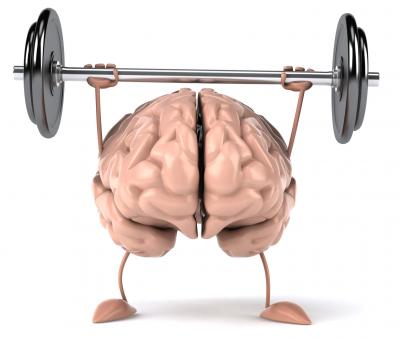Muscle Brain