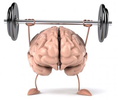 Muscle Brain Muscle Brain